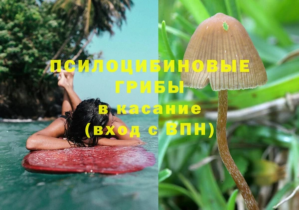 индика Верхнеуральск